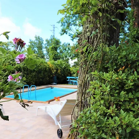 Privata Con Piscina E Biliardo *